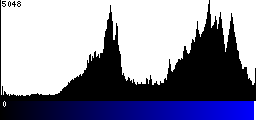 Blue Histogram