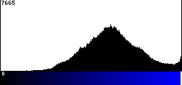 Blue Histogram
