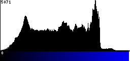 Blue Histogram