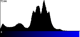 Blue Histogram