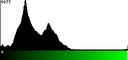 Green Histogram