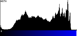 Blue Histogram