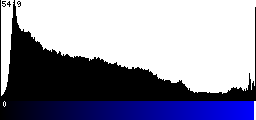 Blue Histogram