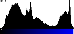 Blue Histogram