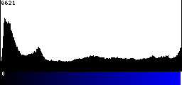 Blue Histogram