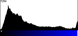 Blue Histogram