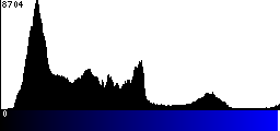 Blue Histogram