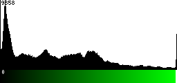 Green Histogram