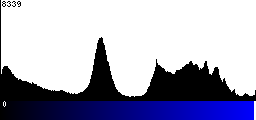 Blue Histogram