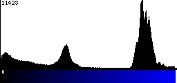 Blue Histogram
