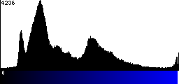 Blue Histogram