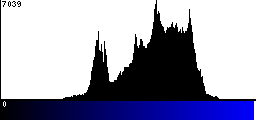 Blue Histogram