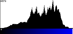Blue Histogram