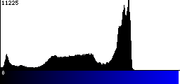 Blue Histogram