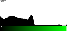 Green Histogram