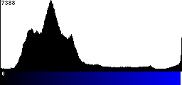 Blue Histogram