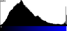 Blue Histogram