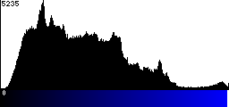 Blue Histogram