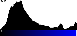 Blue Histogram