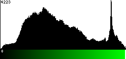 Green Histogram