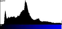 Blue Histogram