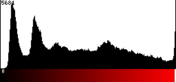Red Histogram