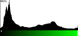Green Histogram