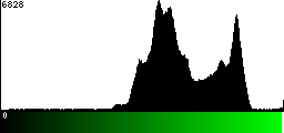 Green Histogram