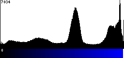 Blue Histogram