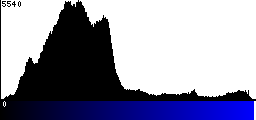 Blue Histogram