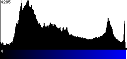 Blue Histogram