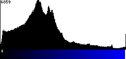 Blue Histogram