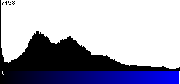 Blue Histogram