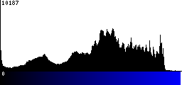 Blue Histogram
