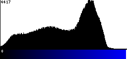 Blue Histogram