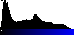 Blue Histogram