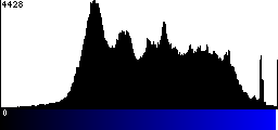 Blue Histogram