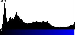 Blue Histogram