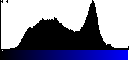 Blue Histogram