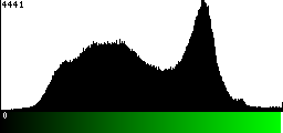 Green Histogram