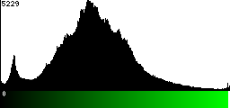 Green Histogram