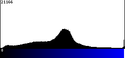 Blue Histogram