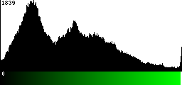 Green Histogram