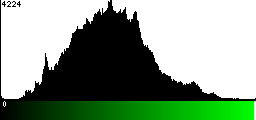 Green Histogram
