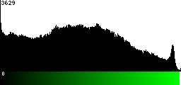 Green Histogram