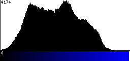 Blue Histogram