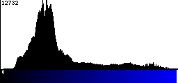 Blue Histogram