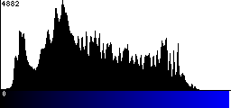 Blue Histogram