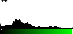 Green Histogram