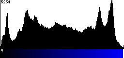 Blue Histogram